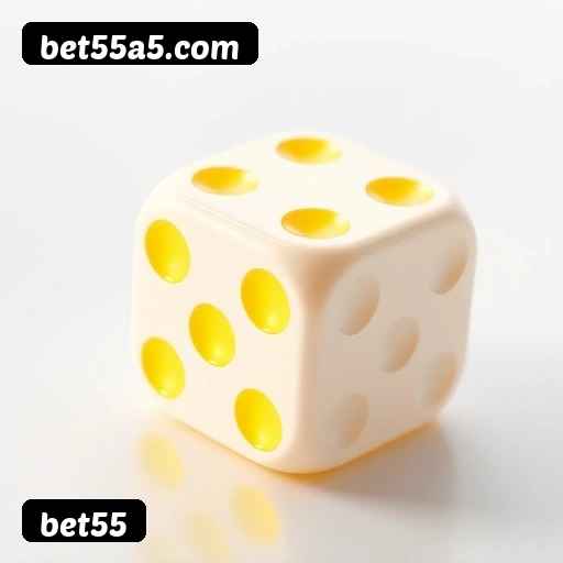 Vantagens exclusivas bet55 para jogadores brasileiros - São Paulo, Rio, BH