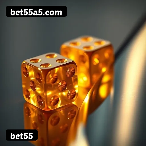 6 vantagens exclusivas do programa VIP da bet55